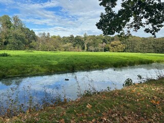Beautiful water channel, green grass and trees in park