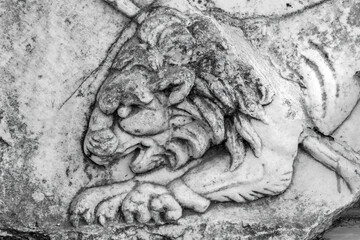 Part of ancient relief, depicting the wounded lion, fragment of hunt scene. Miletus, Aydin, Turkey
