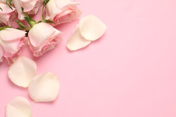Beautiful roses and petals on pink background, top view. Space for text