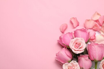 Beautiful roses and petals on pink background, top view. Space for text