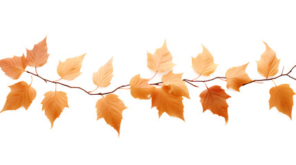 Fototapeta premium A serene photograph capturing the warm hues of brown leaves during the daytime isolated on a transparent background, Generative AI