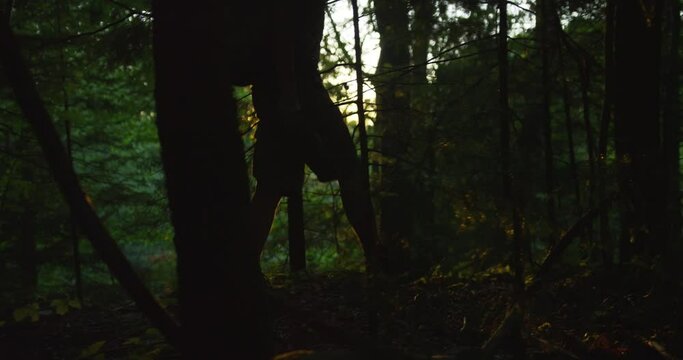 A hiker with dreadlocks and backpack walking in a thick dark forest backlit by a sunset, silhouette. Shot on RED.