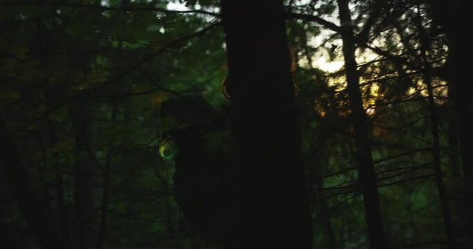 A hiker with dreadlocks and backpack walking in a thick dark forest backlit by a sunset, silhouette. Shot on RED.
