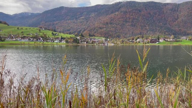 Grass area by Thiersee lake and mountains on background in Austria. Peaceful natural landscape
