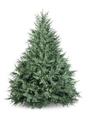 One green Christmas tree isolated on white