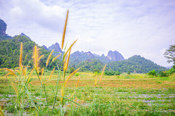 Some of the mountains you see in Thailand is in the northern side, such as Fang, Chiangmai Province