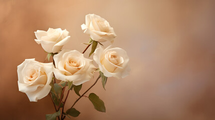 White rose flowers in a corner on a beige background. generative ai.