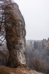 A rock called Maczuga Herkulesa in Pieskowa Skała - obrazy, fototapety, plakaty