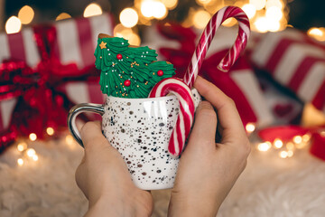 A cup with gingerbread and candies in female hands on a blurred background.