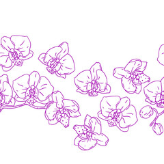 Pattern with orchid flowers. Beautiful decorative plants.