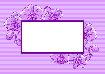 Frame with orchid flowers. Beautiful decorative plants.