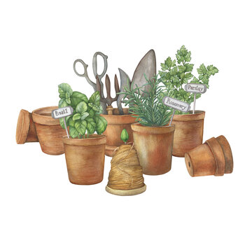 garden tools and herbs in terracotta pots clip art preview