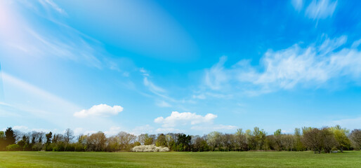Sky Blue,Cloud with Forest Tree,Green Grass Field and Graden in Park,Background Horizon Spring...