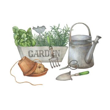 garden tools and plants watercolor clip art preview
