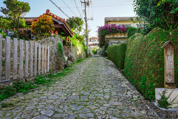 Obraz premium 首里の古道 金城町石畳道（シマシービラ）