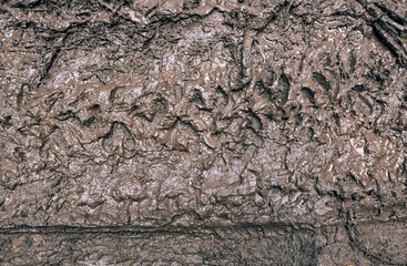 texture of wet dirt. top view