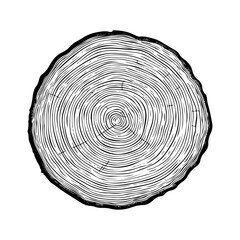 vector illustration of round tree trunk cuts, sawn pine or oak slices, lumber. Saw cut timber, wood. Wooden texture with tree rings. Hand drawn sketch isolated on white background