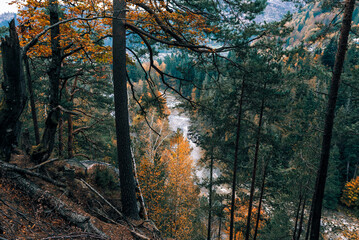 Scenic view of trees and river mountains in autumn
