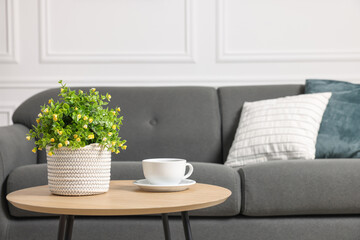 Potted artificial plant and cup of drink on coffee table near sofa indoors. Space for text