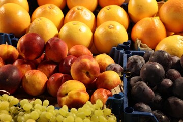Many different fresh fruits on counter at market, closeup