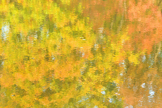 Photo of the forest reflection on the surface of a pond in autumn, similar to the effect of Monet's watercolor painting