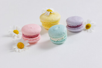 Set colorful French macarons on white background with flowers chamomile top view. Concept spring mood, gift cakes flat lay with copy space