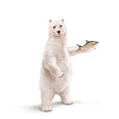 illustration d'un ours polaire qui tiens un  poisson          melonote dans sa main avec un e écharpe 