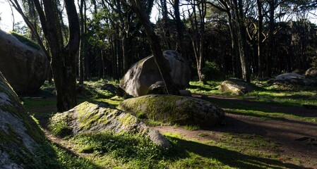 Panoramic landscape in the forest of the Sintra mountain range, Portugal