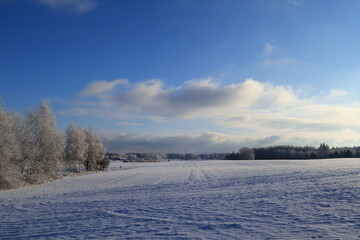 Obraz premium winter landscape with snow