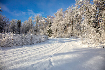 winter landscape in the mountains