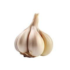 Garlic clip art