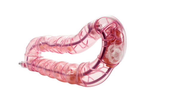 Essential Endotracheal Tube for Airway Emergencies on White or PNG Transparent Background