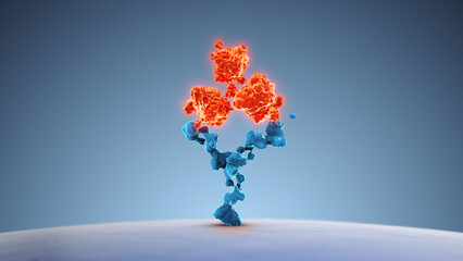 The medical idea of human cell receptor antibodies - obrazy, fototapety, plakaty