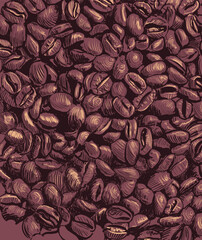 Coffee beans, beans, fruits of the coffee tree. Hand drawing. Coffee bean background. Roasted coffee.