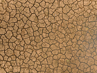 Desertificación de suelo