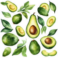 watercolour avocados
