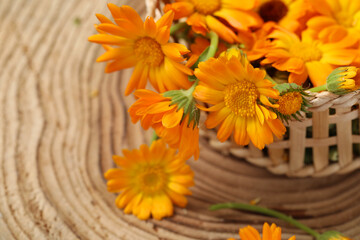 Beautiful fresh calendula flowers on wooden table, closeup. Space for text