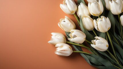 Elegant White Tulips on Soft Background Arrangement.