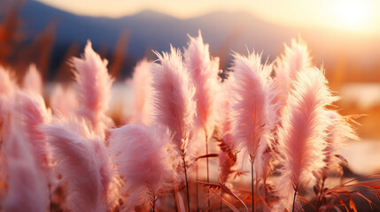 Close up of pampas grass plumes soft and fluffy on a field with sunshine. Generative AI