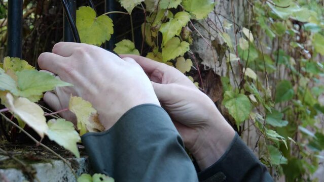 Close up of key lock box opened by white male