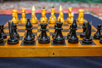 Black chess pieces on a background of white pieces