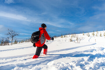 Fototapeta na wymiar Sporty person in red sport jacket enjoys snow and breathtaking Norwegian landscape. Sunny winter activity.