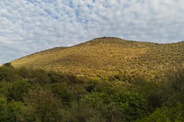 Obraz premium Peace and tranquility in the evening in the countryside with breathtaking mountain views - calm and serenity