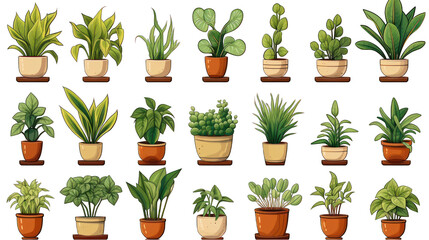 Houseplants Arrangement Isolated on Transparent or White Background, PNG