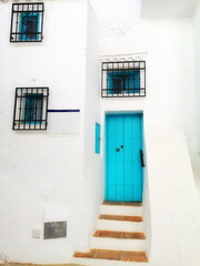 Fototapeta na wymiar typical corners of the Andalusian village of Frigiliana, tourist destination, white village of Málaga, 