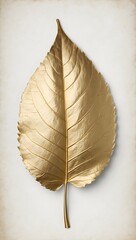 old paper leaf, white paper background