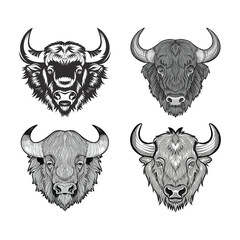 set of bison head illustration