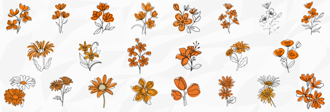 Bl&uuml;tenpracht in Gelb und Orange: Bundle mit Lineart-Illustrationen verschiedener Blumenarten