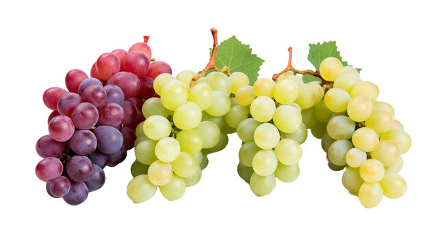 Bunch of Green and red grapes collection isolated in white transparent background.