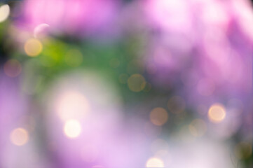 Pink and green color blurry background with amazing bokeh, defocused